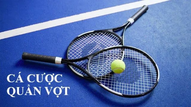 Hướng dẫn cược tennis Shbet chuẩn nhất