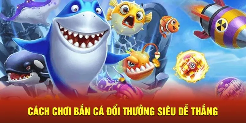 Bắn Cá Đổi Thưởng SHBET Siêu Dễ Thắng Dành Cho Newbie 2 Bắn Cá Đổi Thưởng SHBET